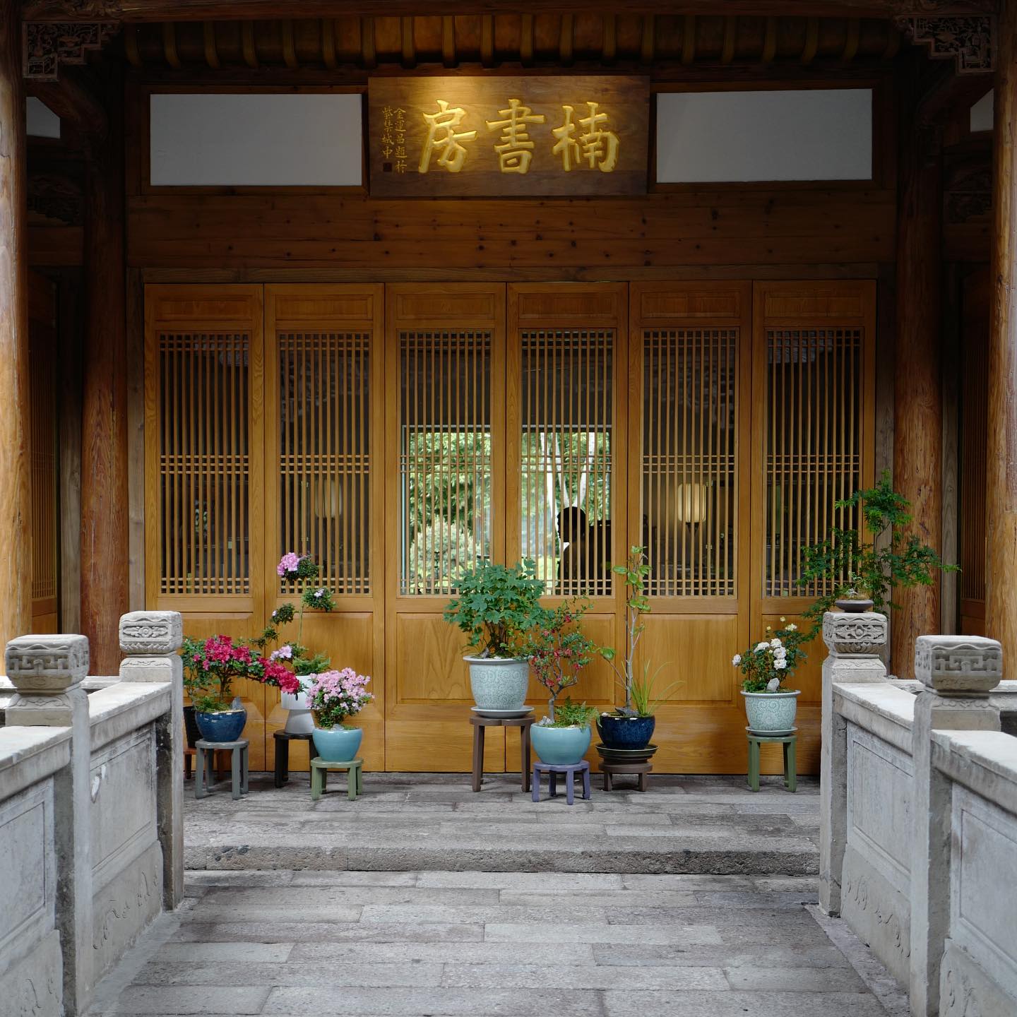 วุ้นเส้น - วิริฒิพา ภักดีประสงค์