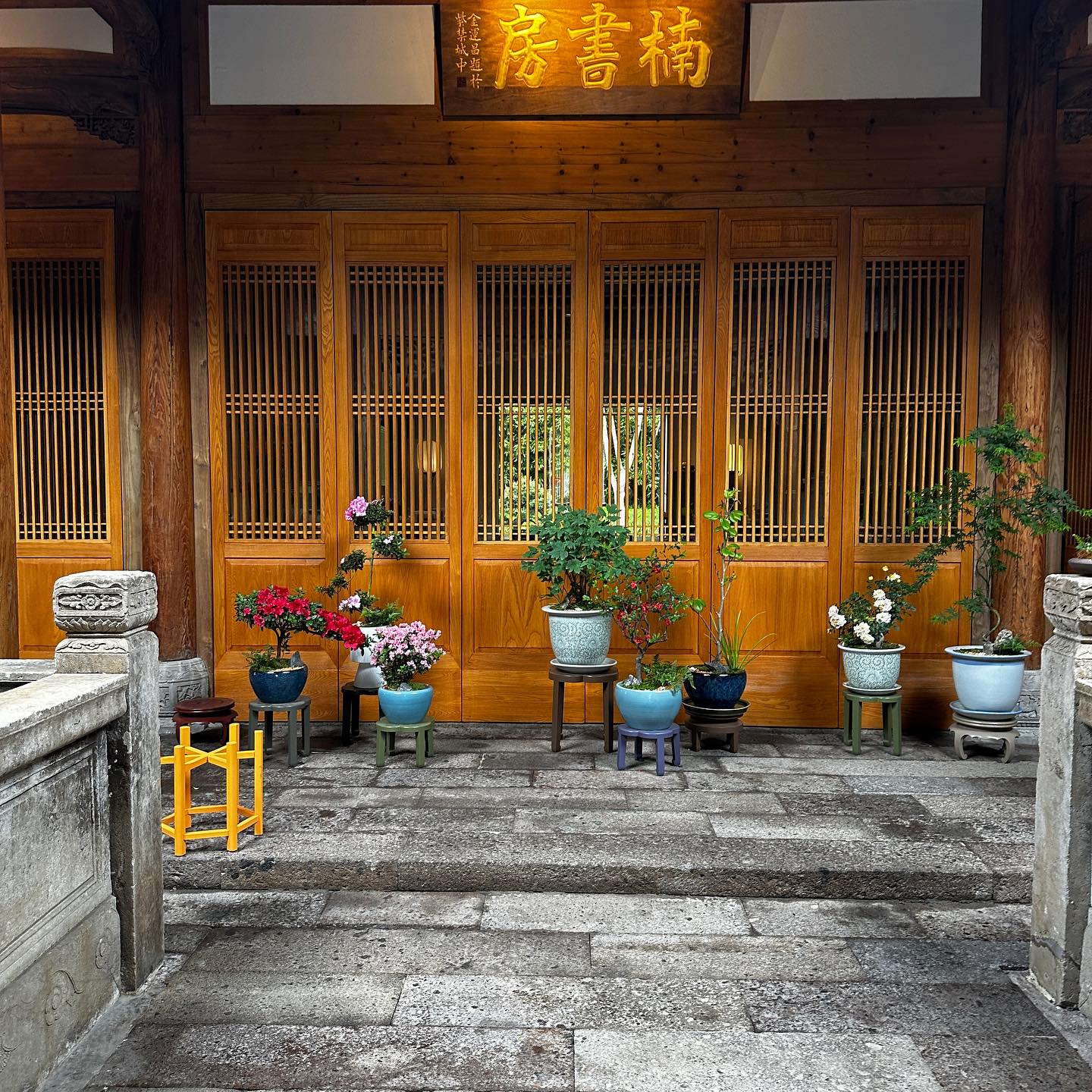 วุ้นเส้น - วิริฒิพา ภักดีประสงค์