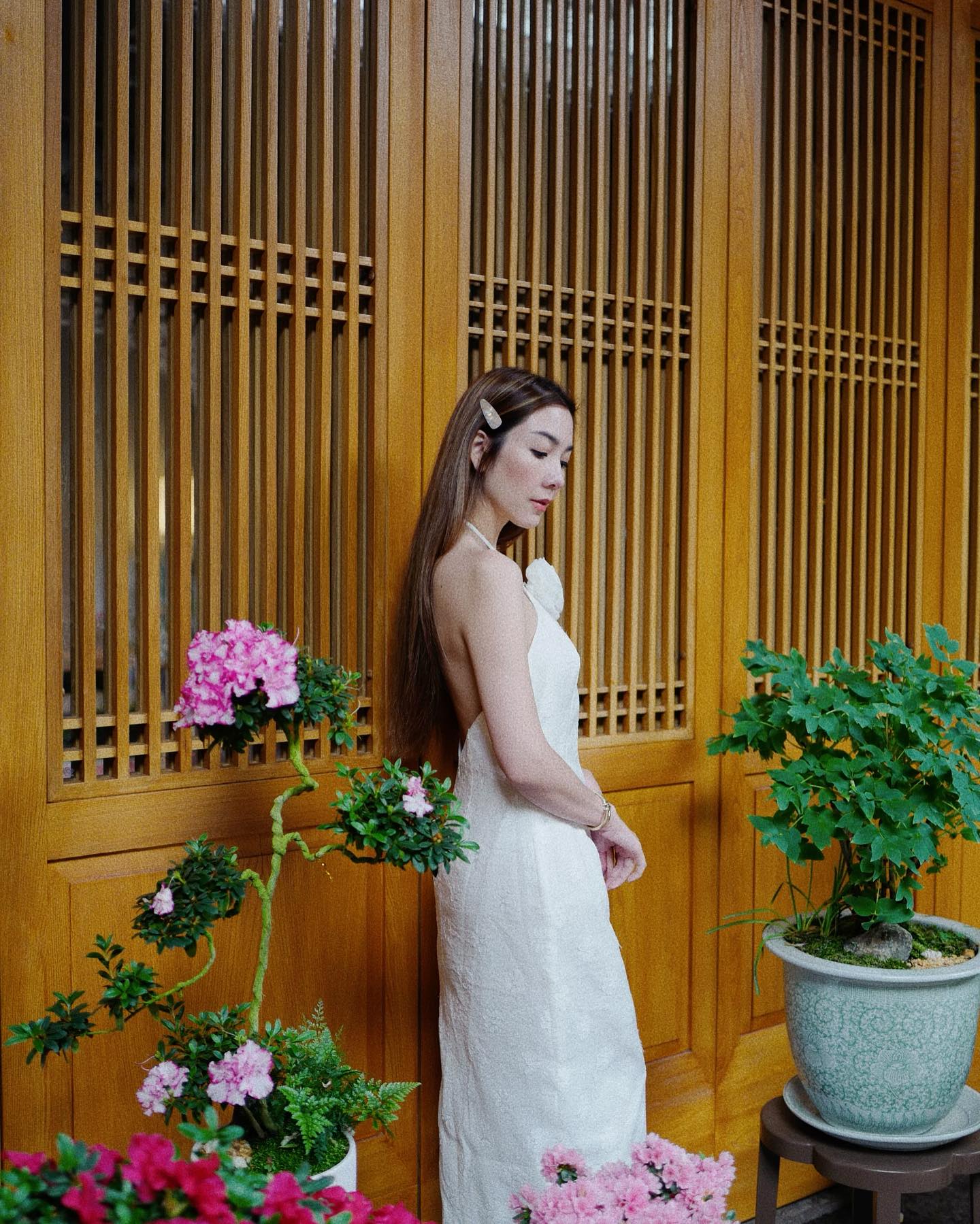 วุ้นเส้น - วิริฒิพา ภักดีประสงค์