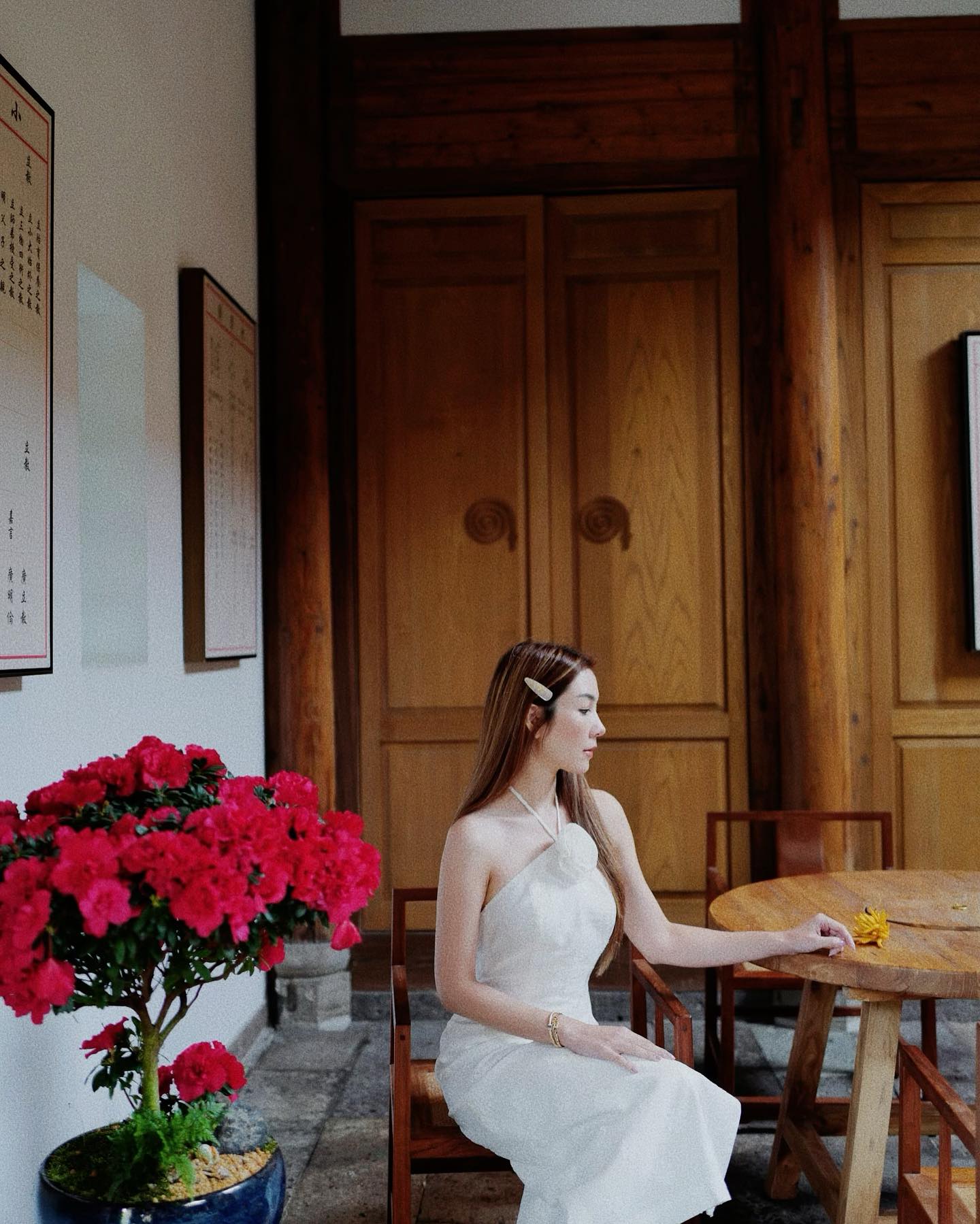 วุ้นเส้น - วิริฒิพา ภักดีประสงค์