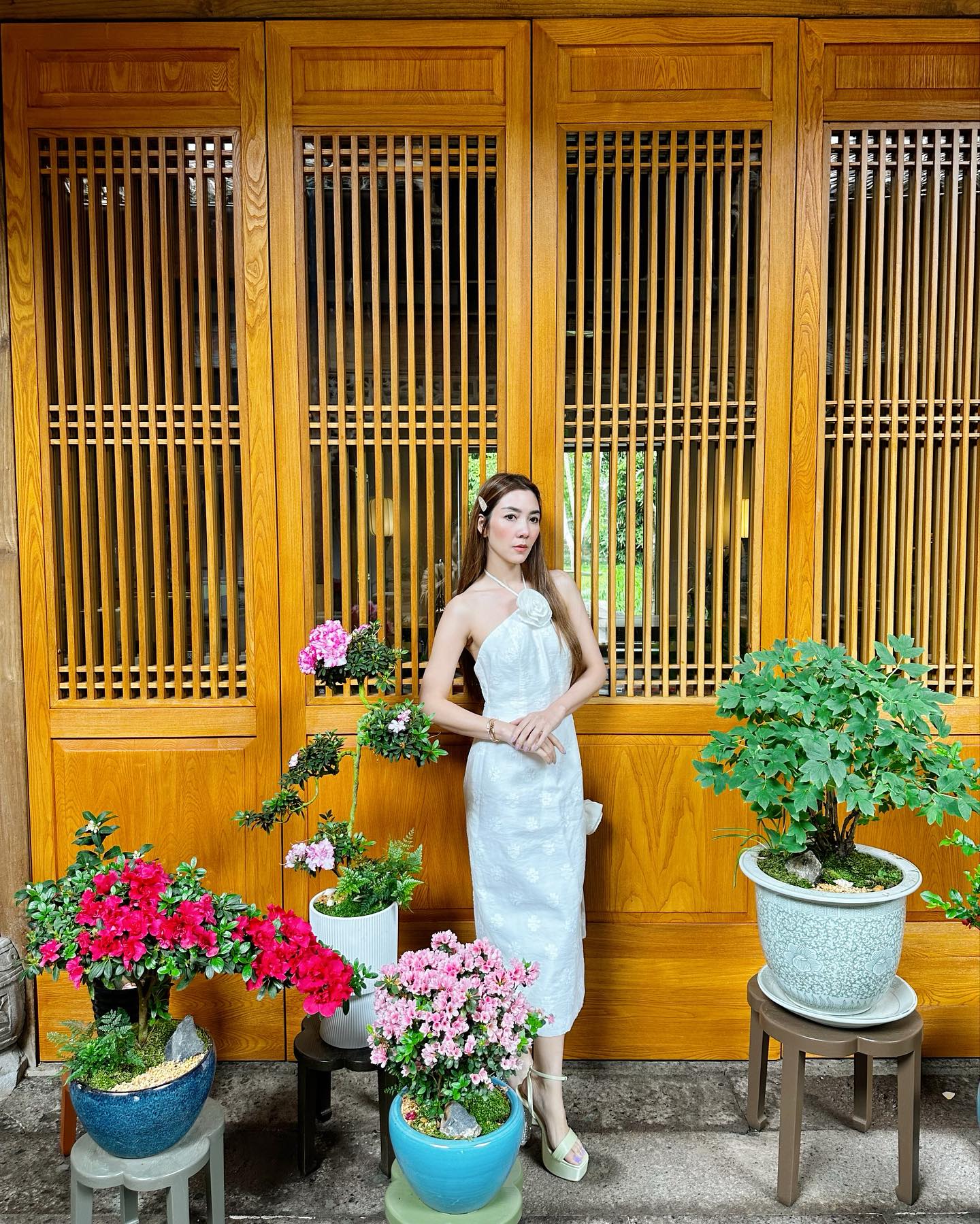 วุ้นเส้น - วิริฒิพา ภักดีประสงค์