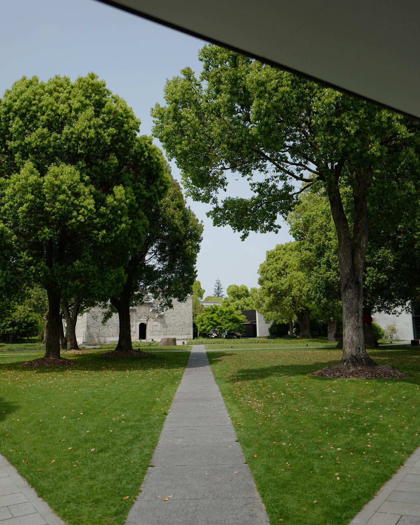 วุ้นเส้น - วิริฒิพา ภักดีประสงค์