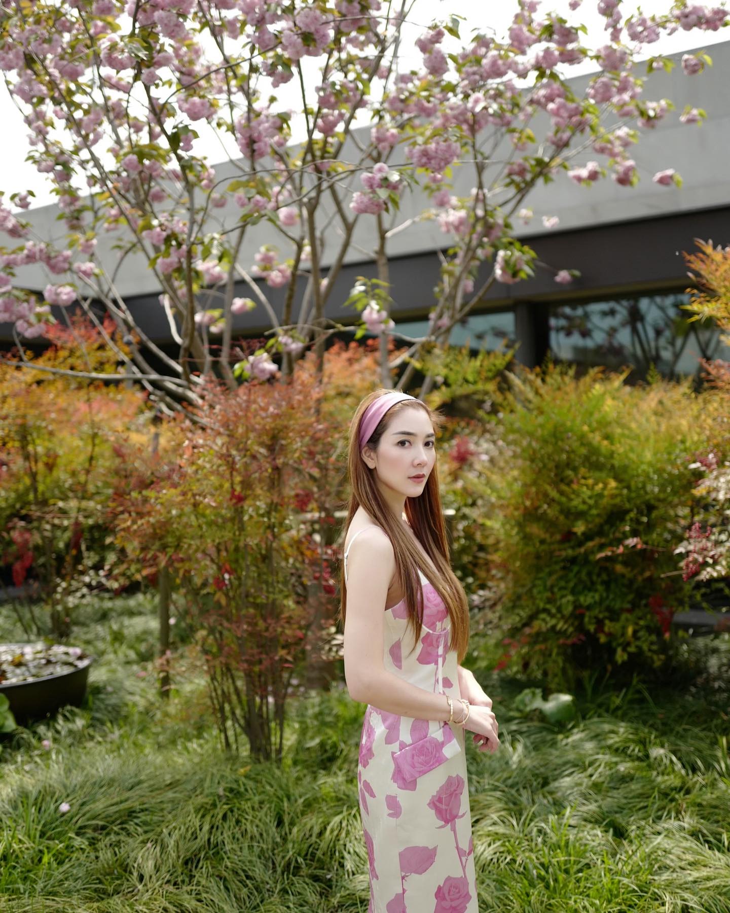 วุ้นเส้น - วิริฒิพา ภักดีประสงค์