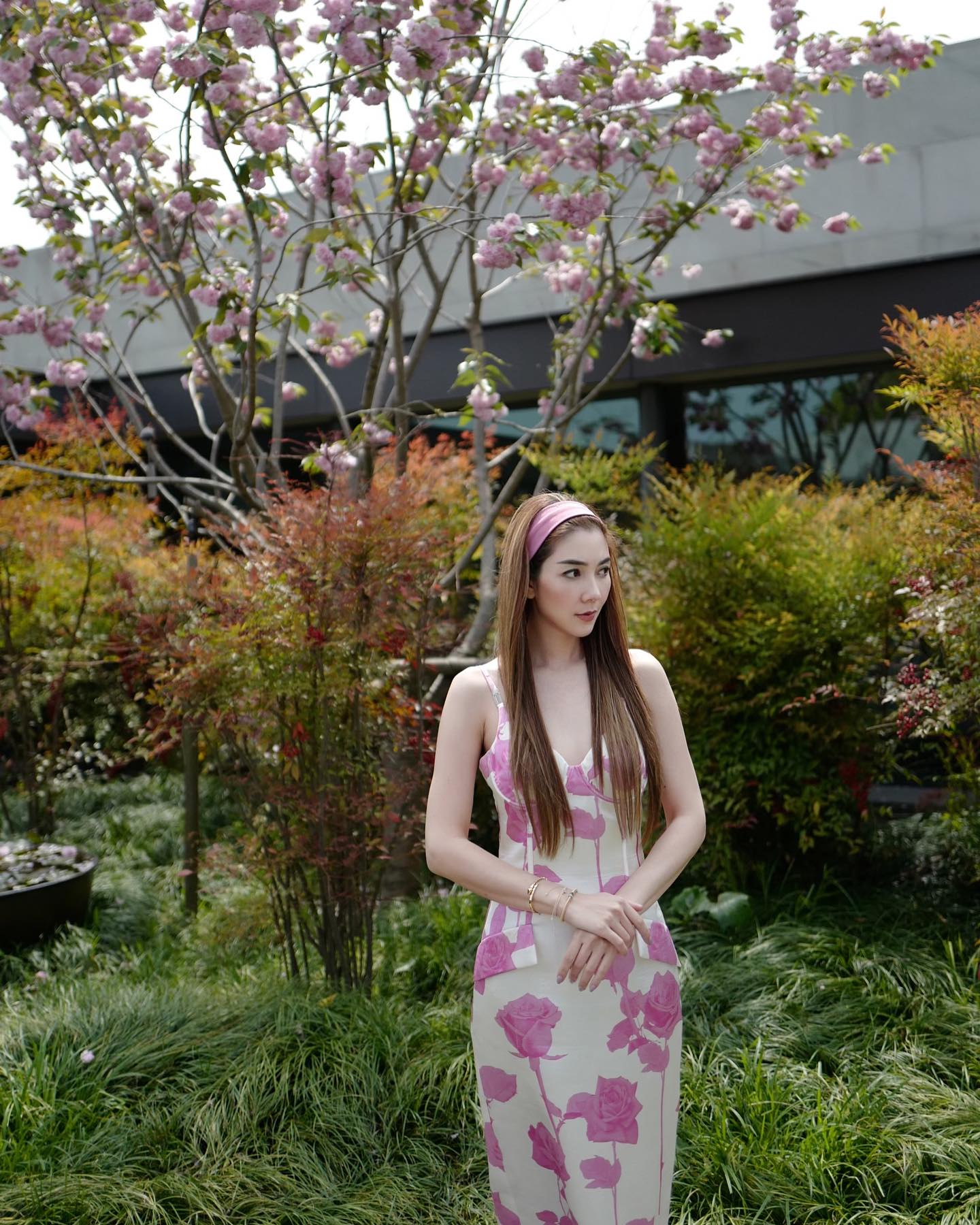 วุ้นเส้น - วิริฒิพา ภักดีประสงค์