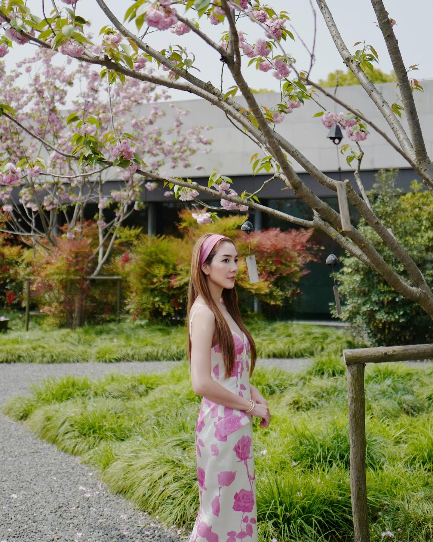 วุ้นเส้น - วิริฒิพา ภักดีประสงค์