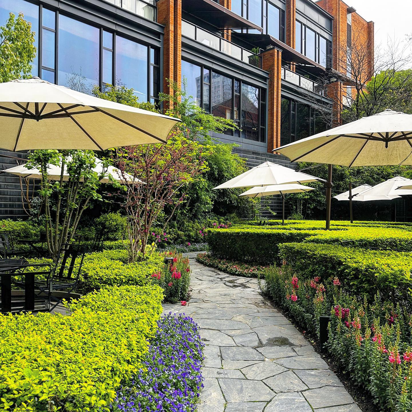 วุ้นเส้น - วิริฒิพา ภักดีประสงค์