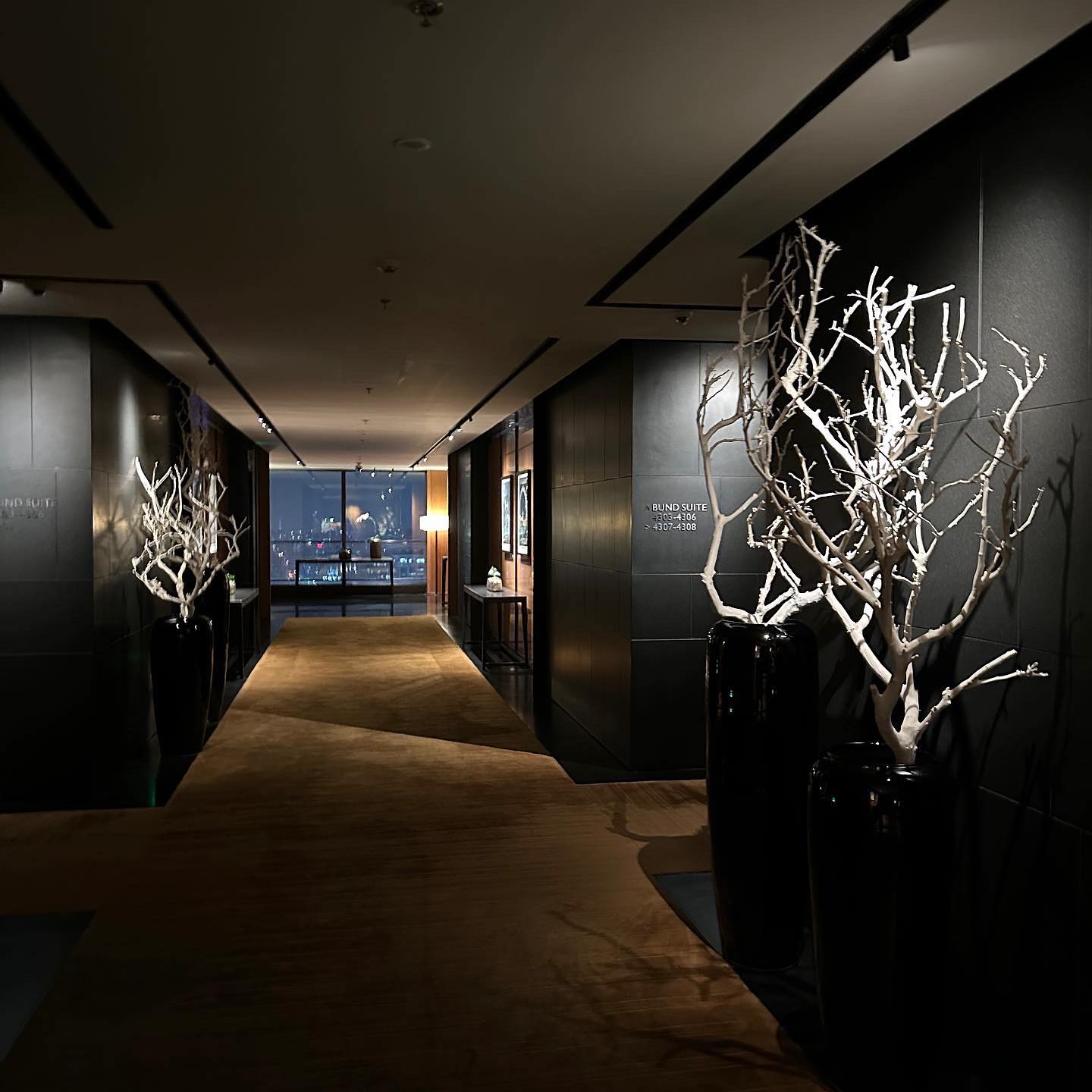 วุ้นเส้น - วิริฒิพา ภักดีประสงค์