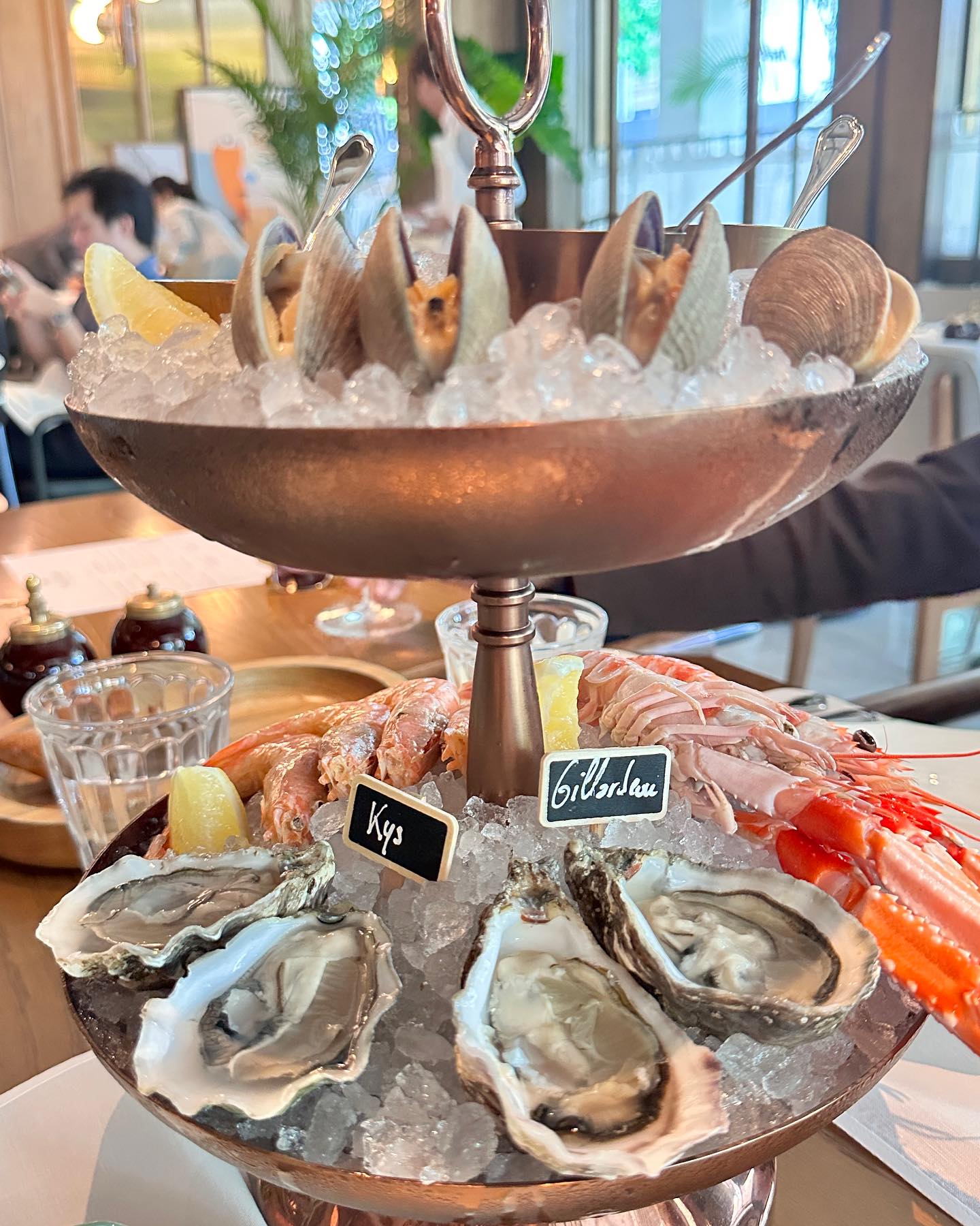 วุ้นเส้น - วิริฒิพา ภักดีประสงค์