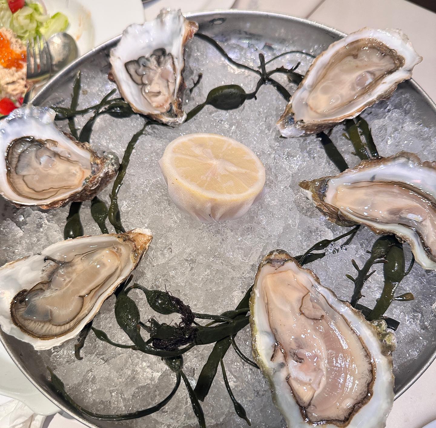 วุ้นเส้น - วิริฒิพา ภักดีประสงค์