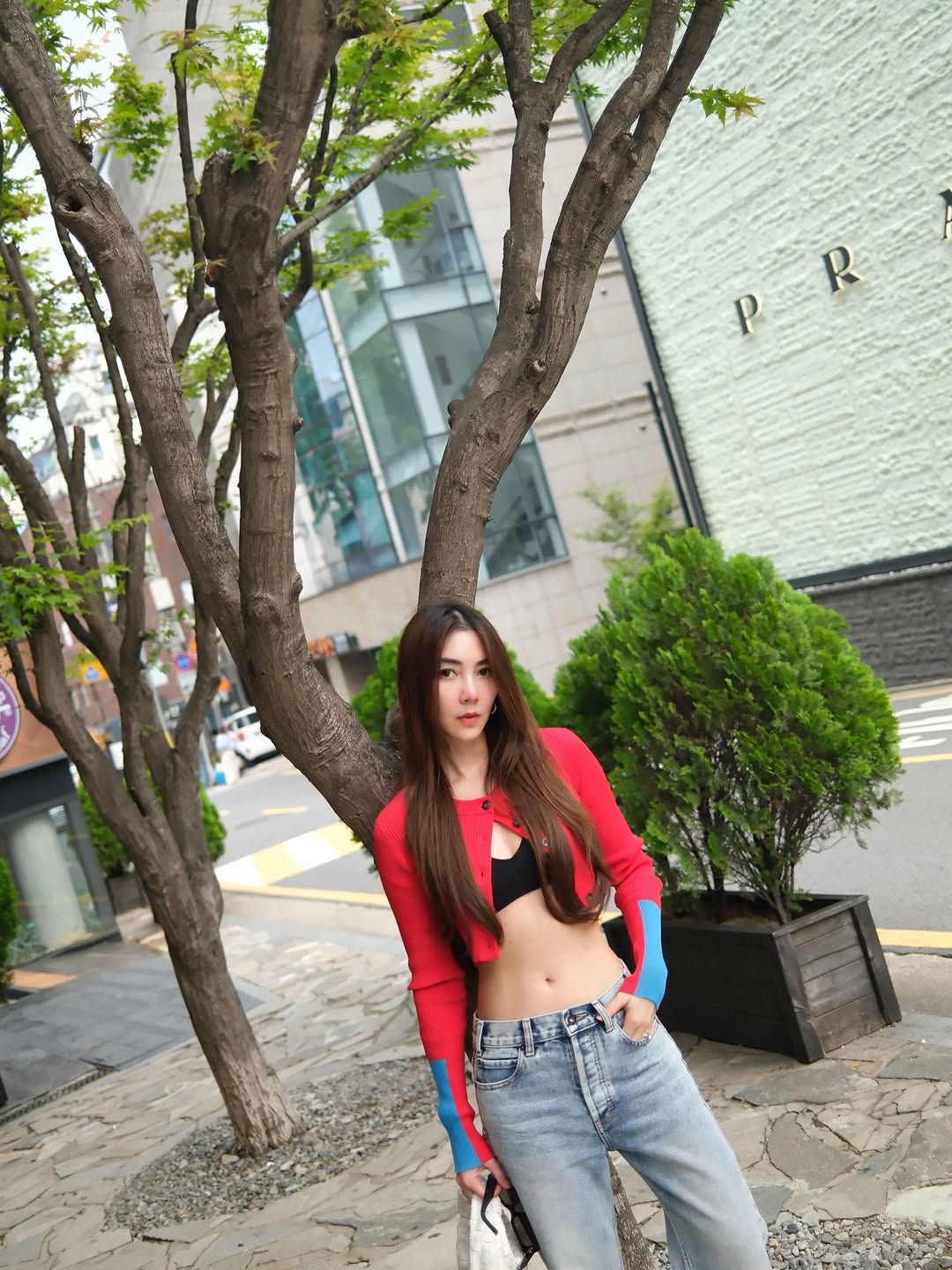 วุ้นเส้น - วิริฒิพา ภักดีประสงค์