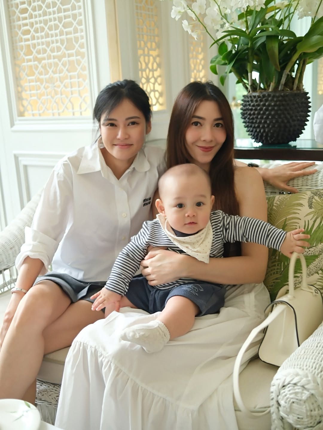 วุ้นเส้น - วิริฒิพา ภักดีประสงค์
