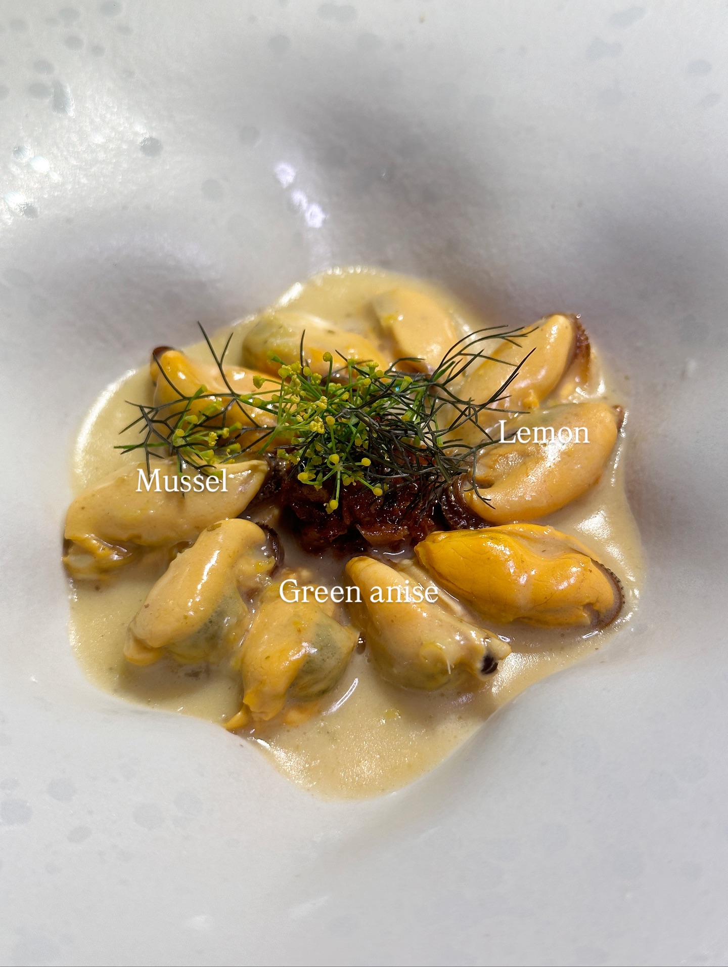 วุ้นเส้น - วิริฒิพา ภักดีประสงค์