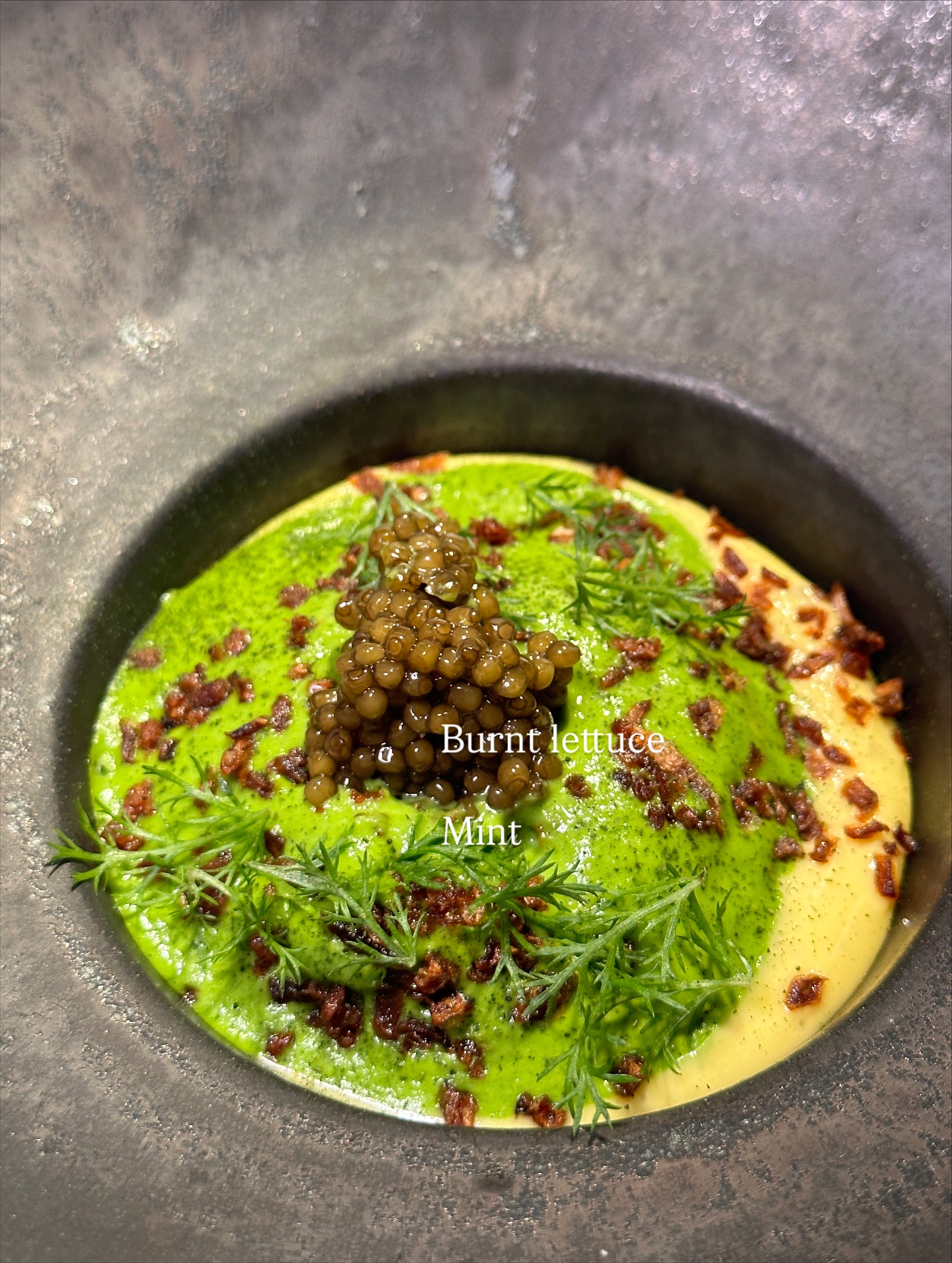 วุ้นเส้น - วิริฒิพา ภักดีประสงค์