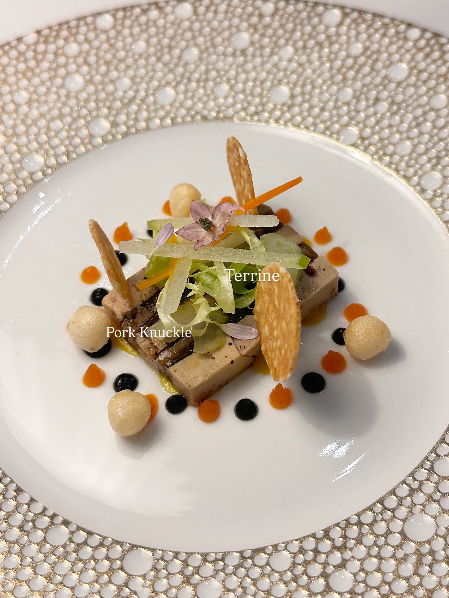 วุ้นเส้น - วิริฒิพา ภักดีประสงค์