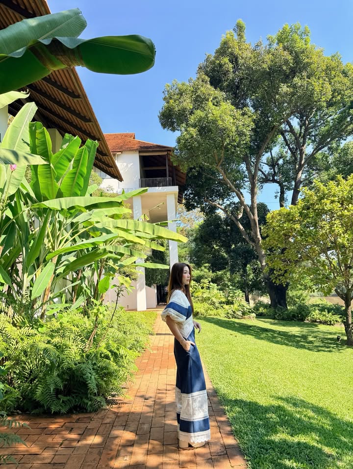 วุ้นเส้น - วิริฒิพา ภักดีประสงค์