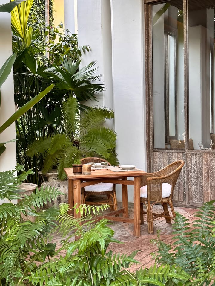 วุ้นเส้น - วิริฒิพา ภักดีประสงค์