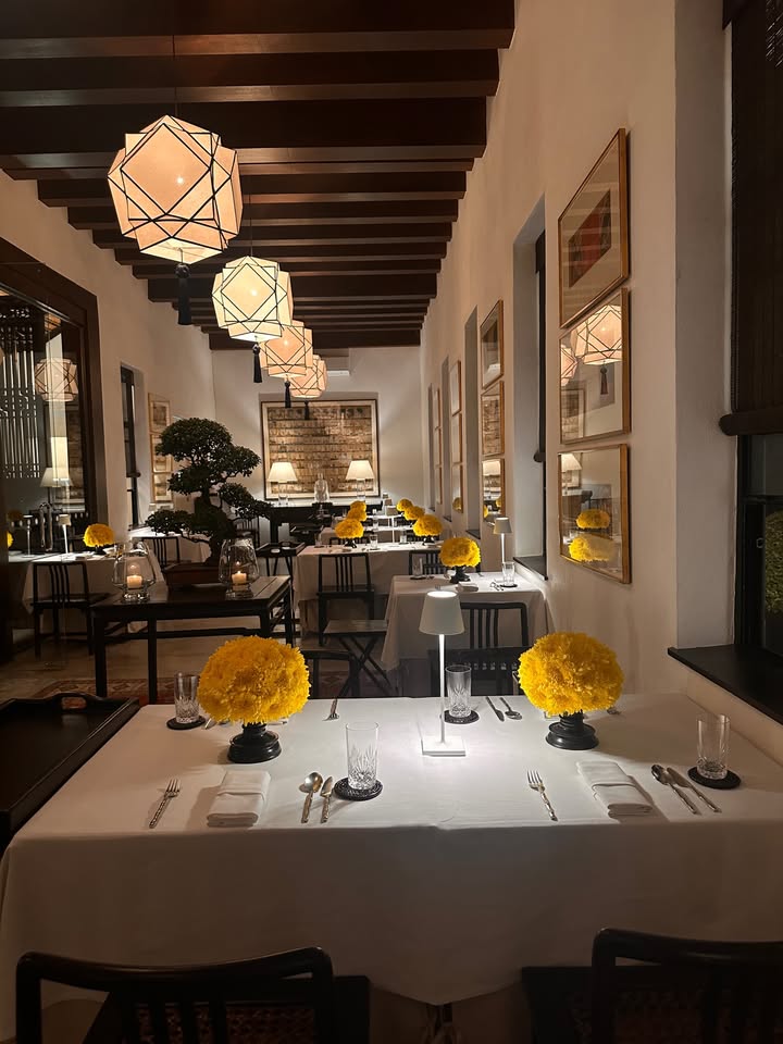 วุ้นเส้น - วิริฒิพา ภักดีประสงค์