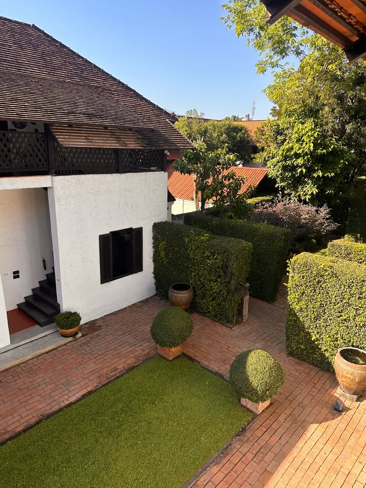 วุ้นเส้น - วิริฒิพา ภักดีประสงค์