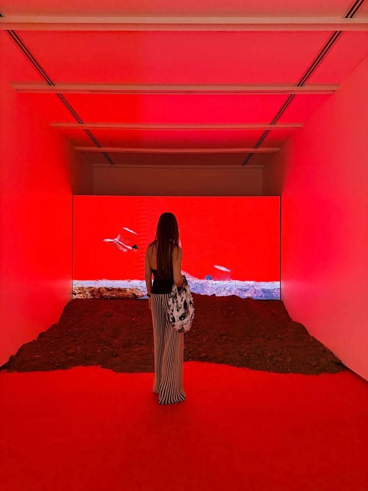 วุ้นเส้น - วิริฒิพา ภักดีประสงค์