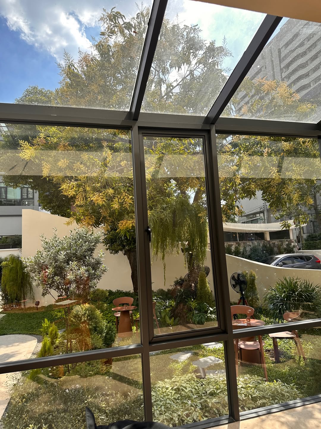 วุ้นเส้น - วิริฒิพา ภักดีประสงค์