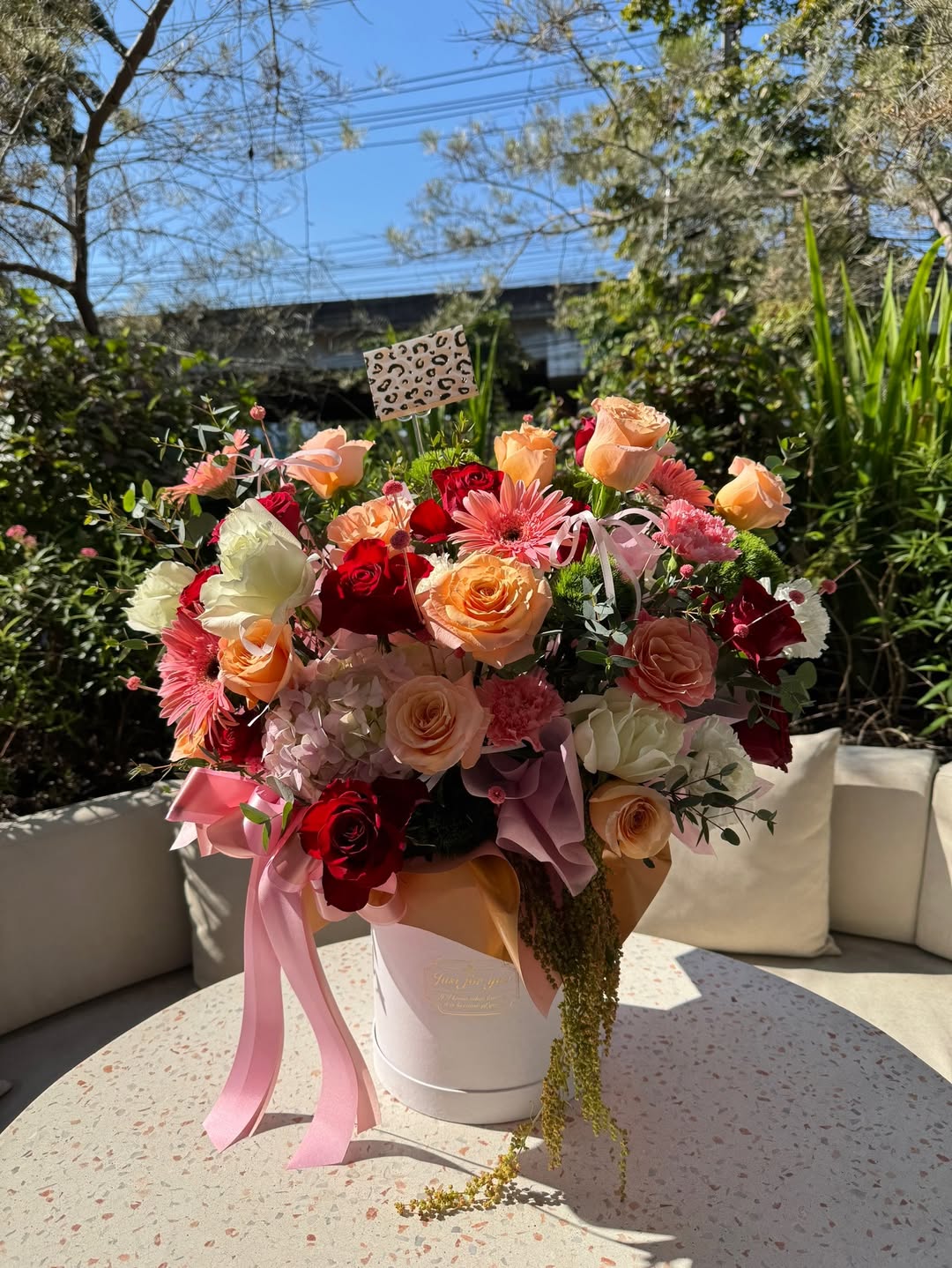 วุ้นเส้น - วิริฒิพา ภักดีประสงค์