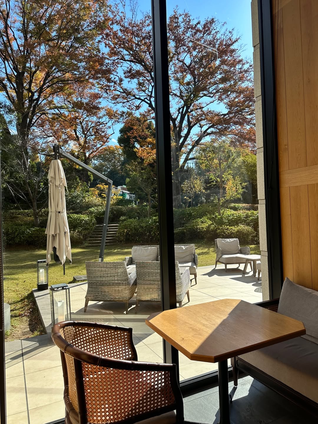 วุ้นเส้น - วิริฒิพา ภักดีประสงค์