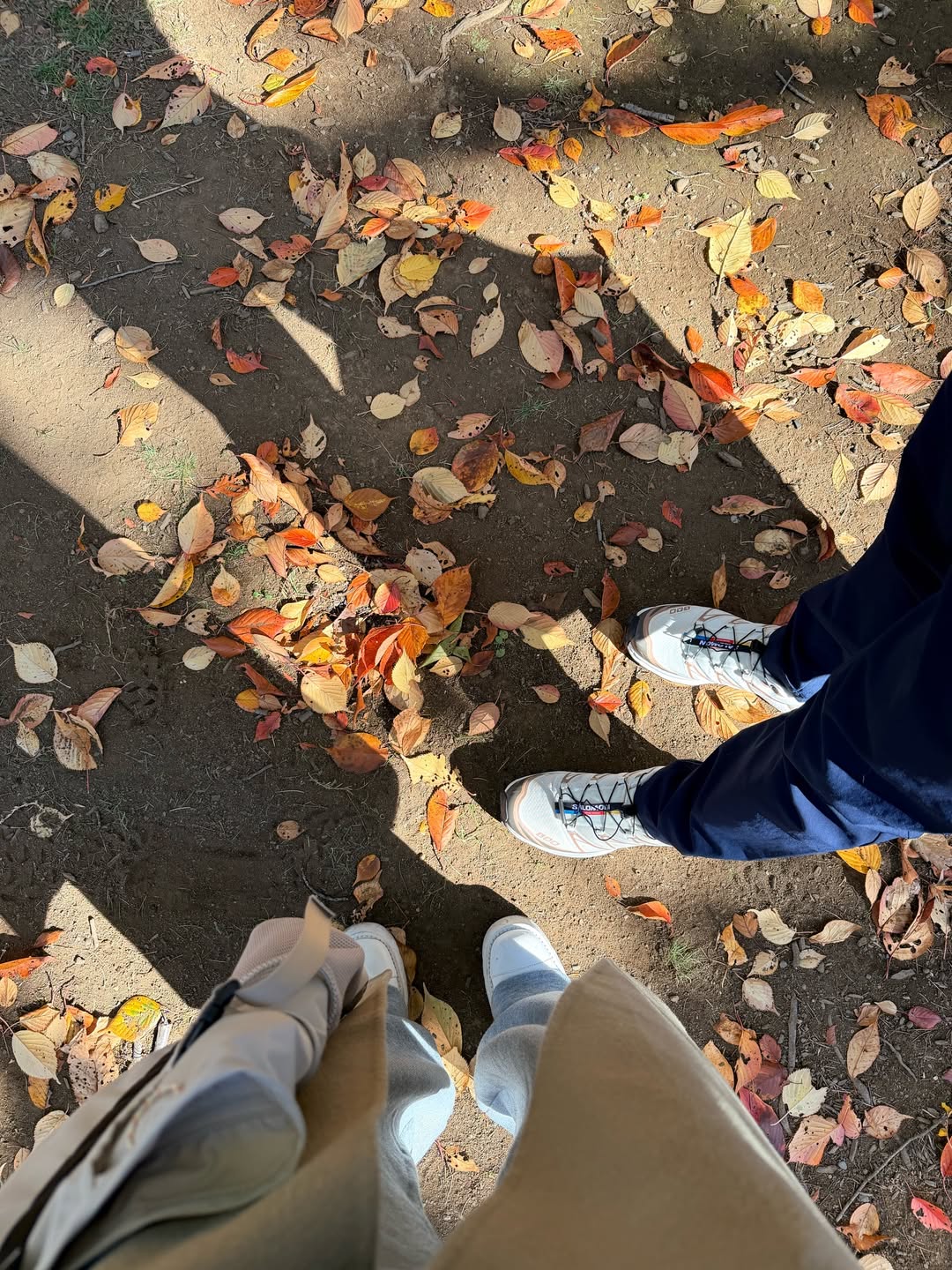 วุ้นเส้น - วิริฒิพา ภักดีประสงค์