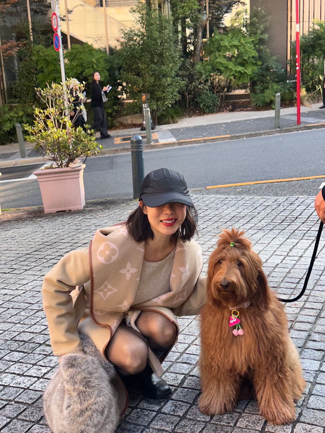 วุ้นเส้น - วิริฒิพา ภักดีประสงค์