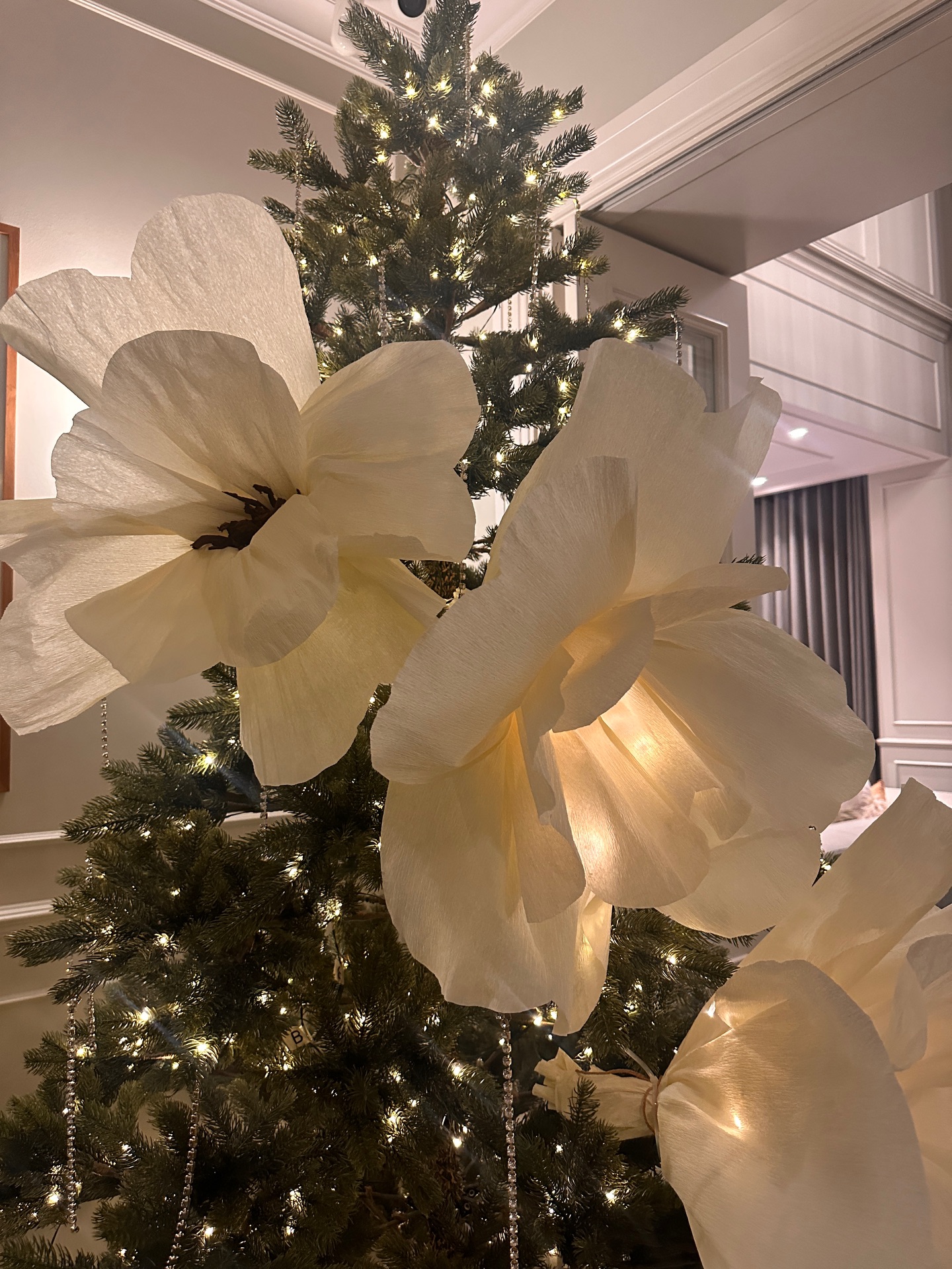 วุ้นเส้น - วิริฒิพา ภักดีประสงค์