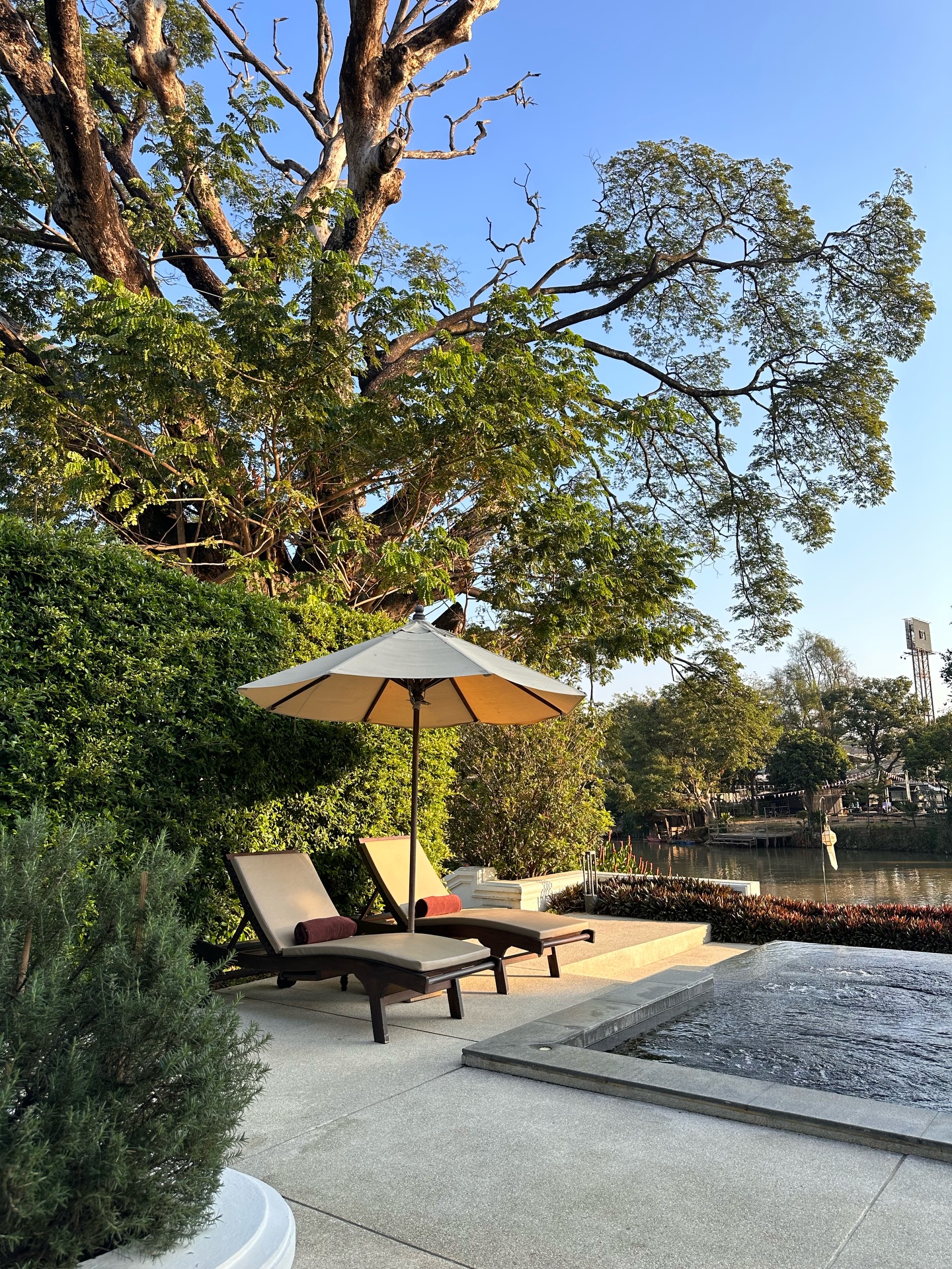 วุ้นเส้น - วิริฒิพา ภักดีประสงค์