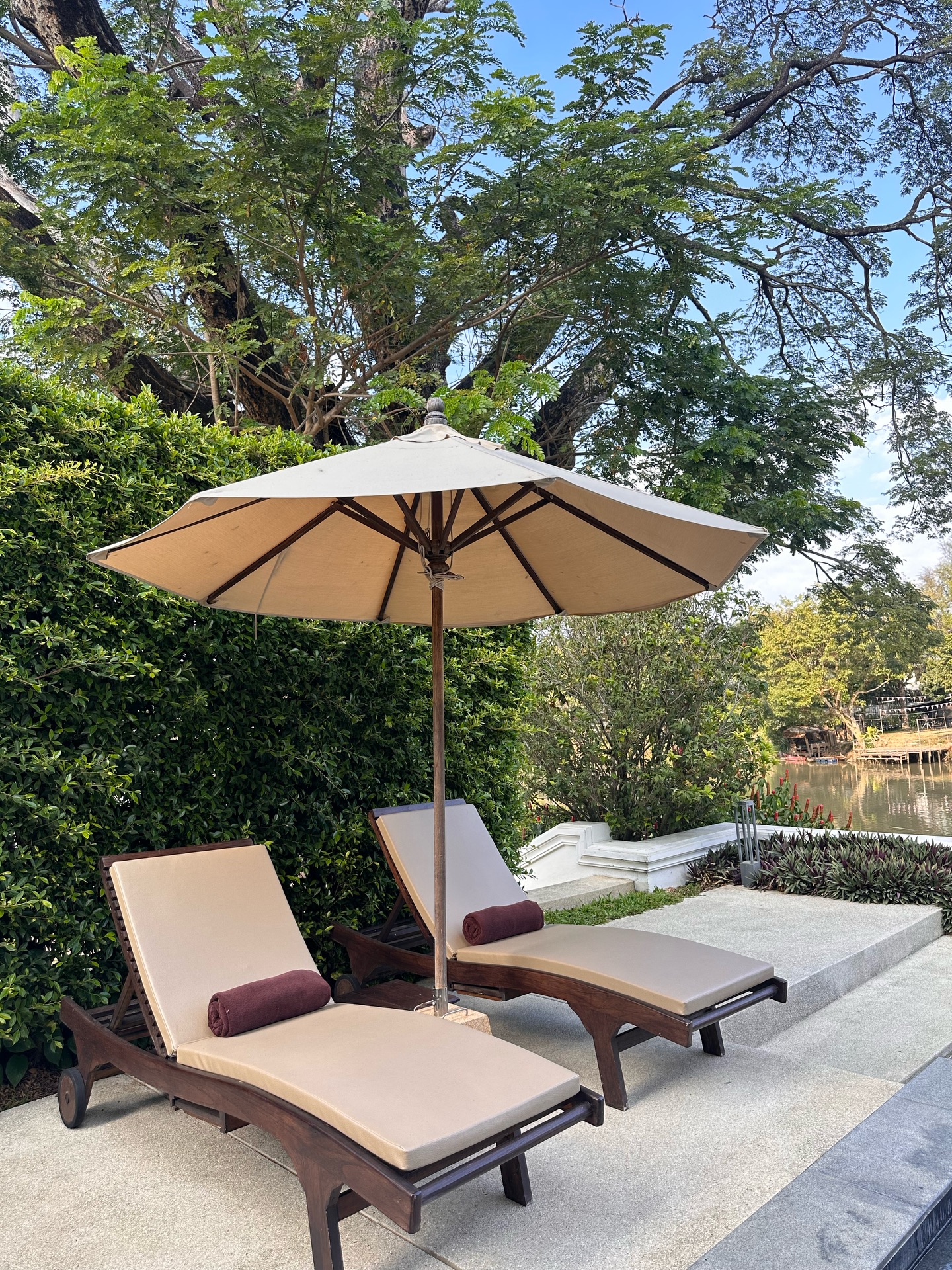 วุ้นเส้น - วิริฒิพา ภักดีประสงค์