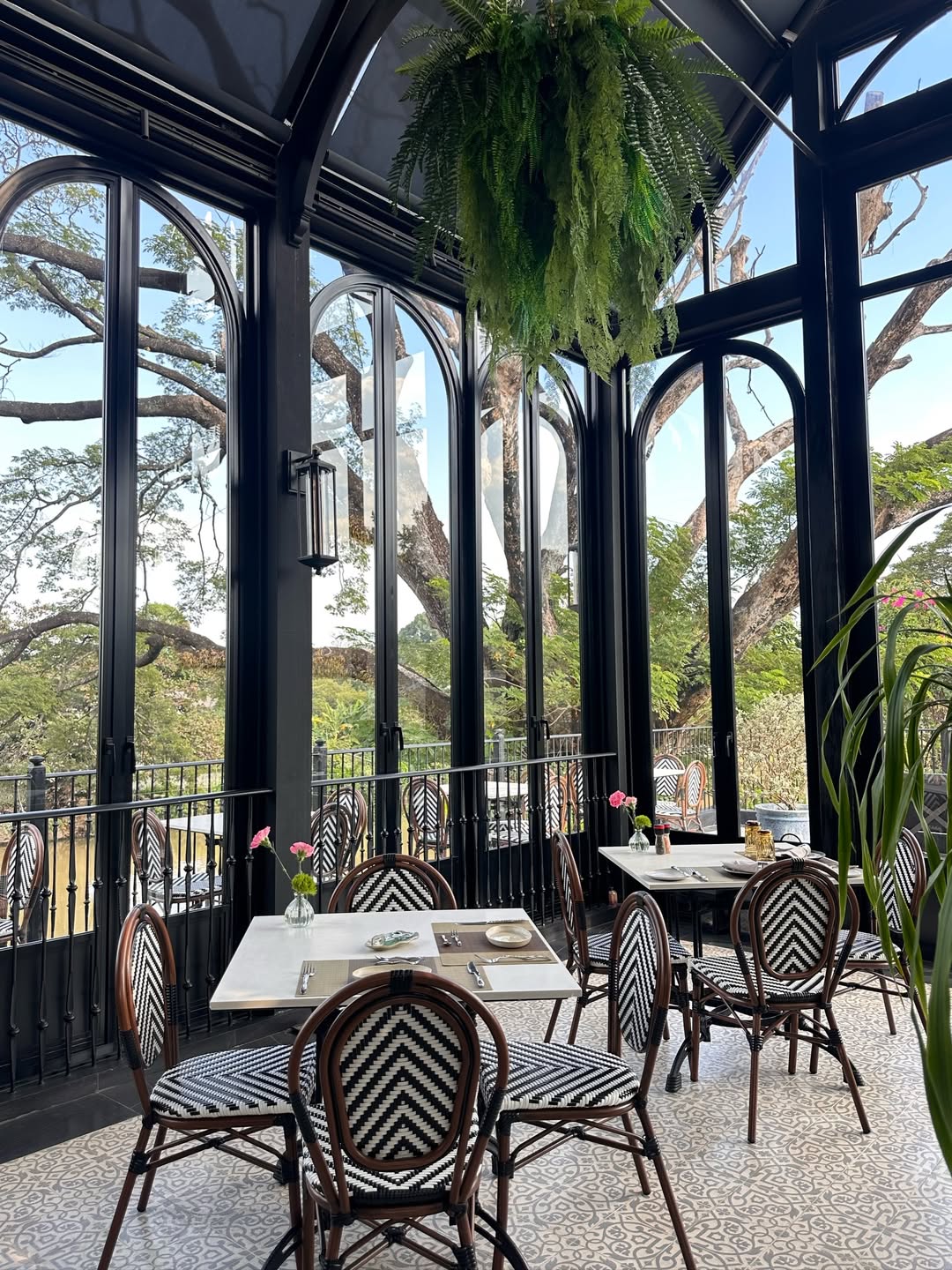 วุ้นเส้น - วิริฒิพา ภักดีประสงค์