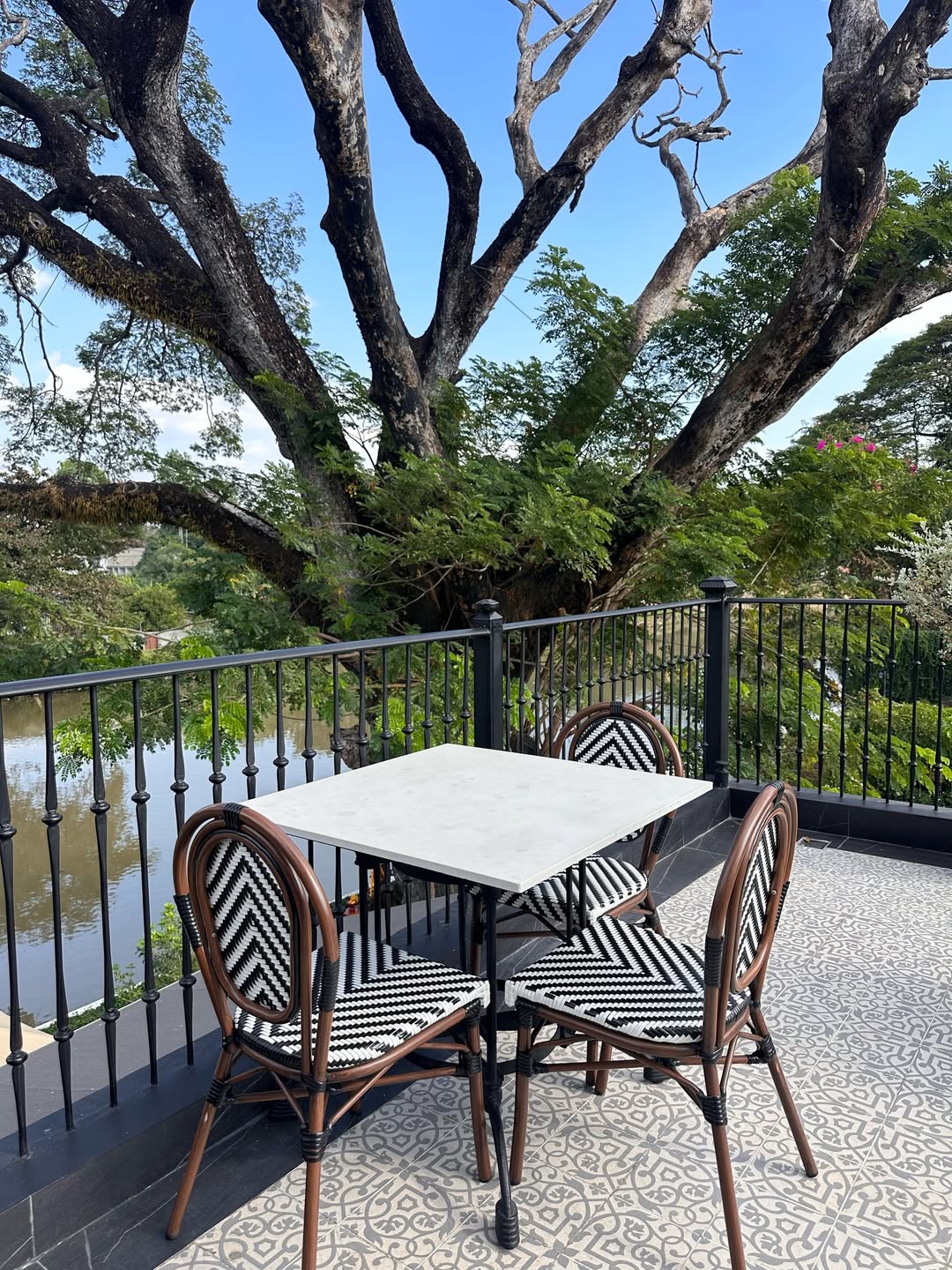 วุ้นเส้น - วิริฒิพา ภักดีประสงค์