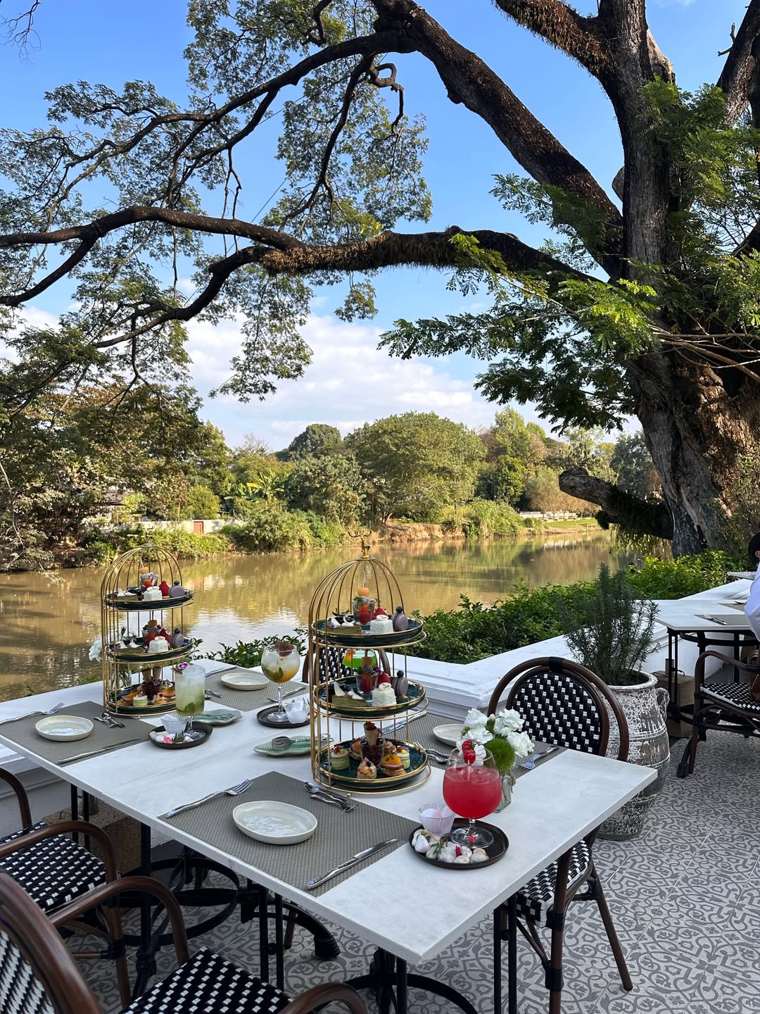 วุ้นเส้น - วิริฒิพา ภักดีประสงค์