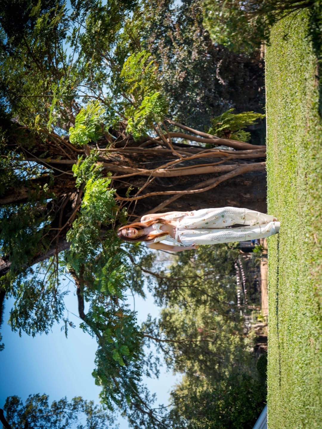 วุ้นเส้น - วิริฒิพา ภักดีประสงค์