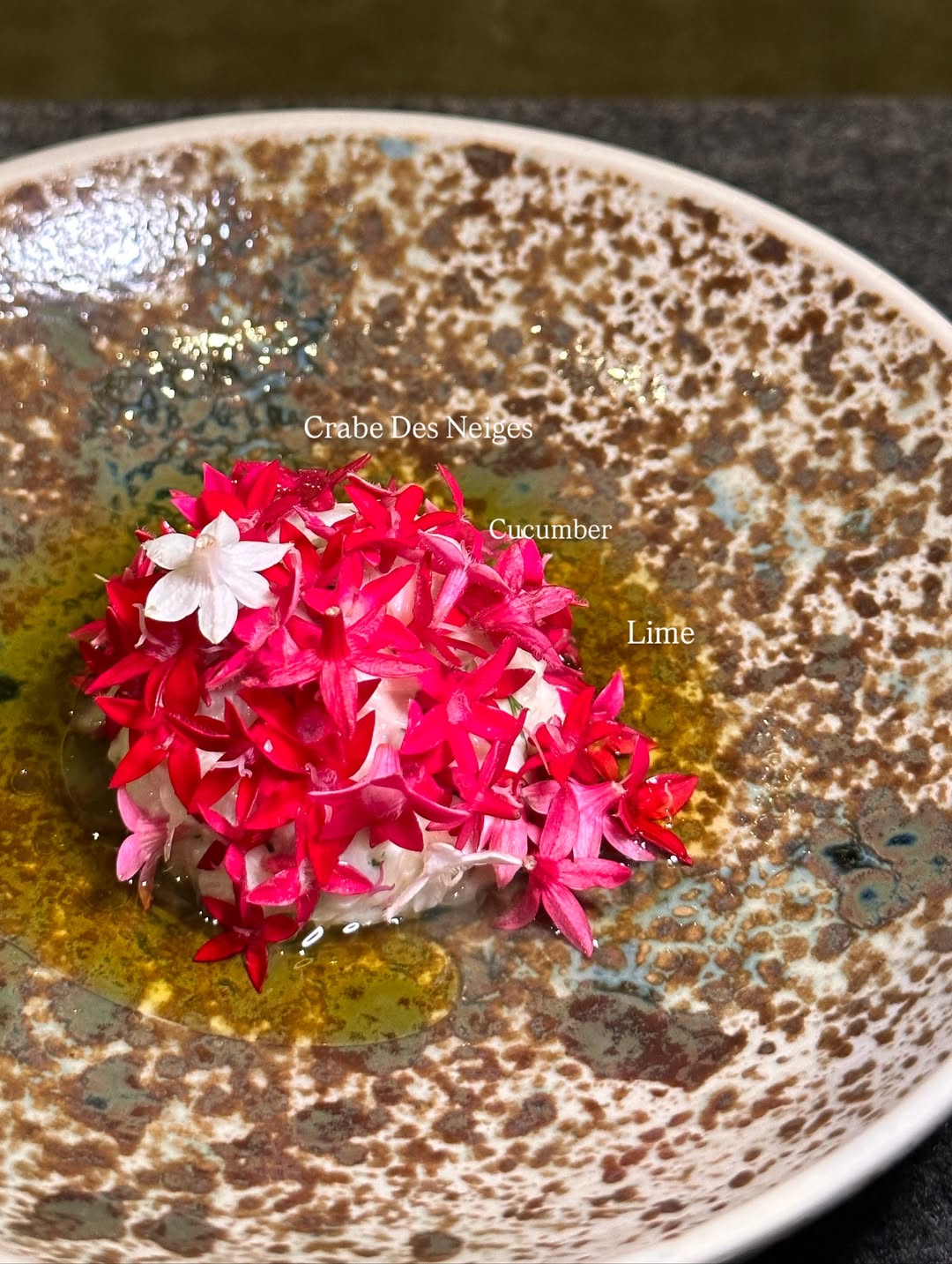 วุ้นเส้น - วิริฒิพา ภักดีประสงค์