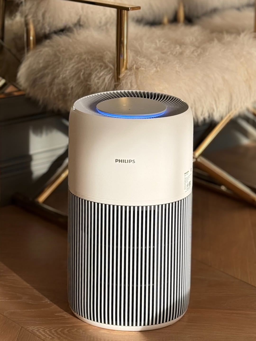 วุ้นเส้น - วิริฒิพา ภักดีประสงค์