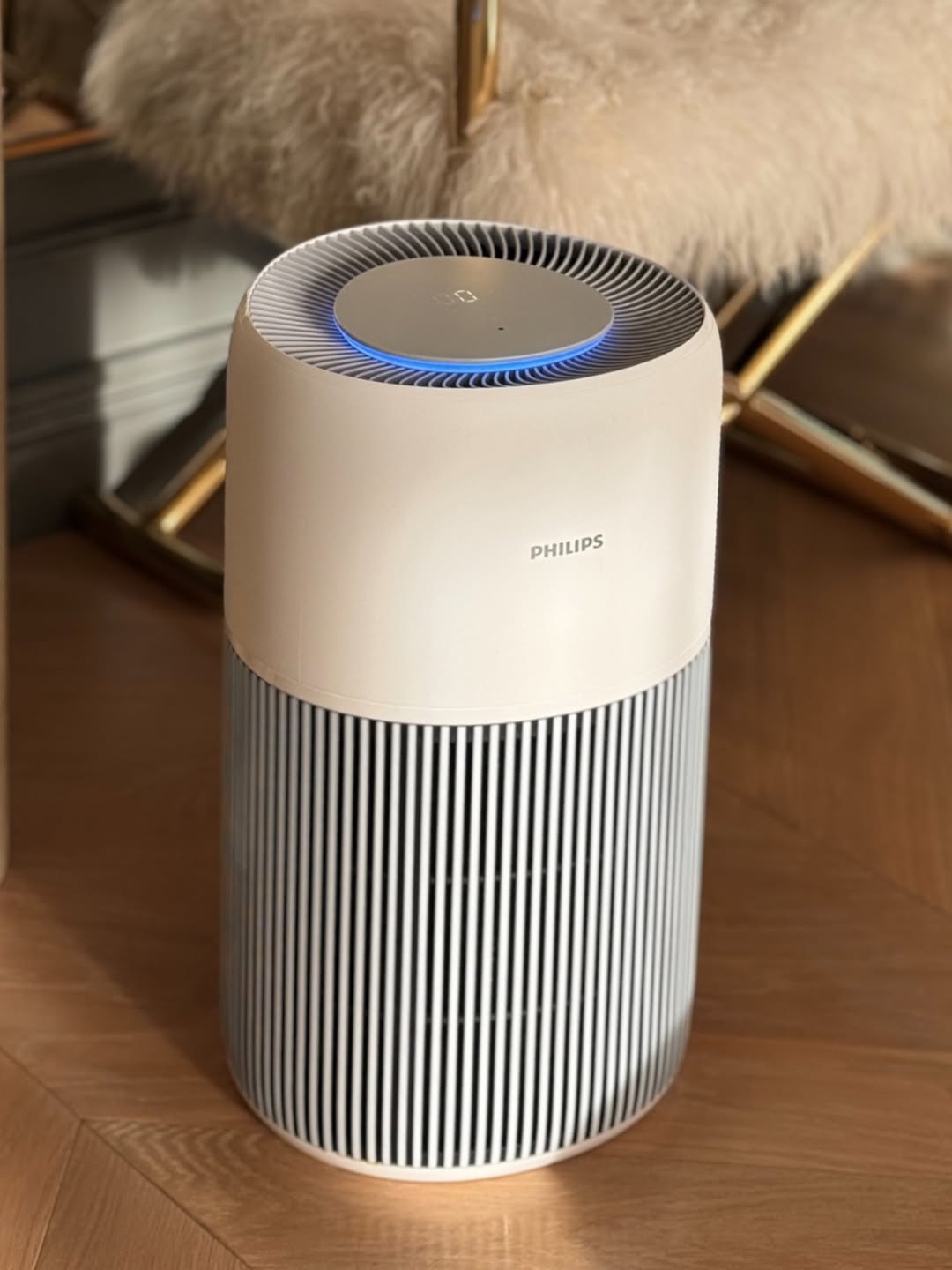 วุ้นเส้น - วิริฒิพา ภักดีประสงค์