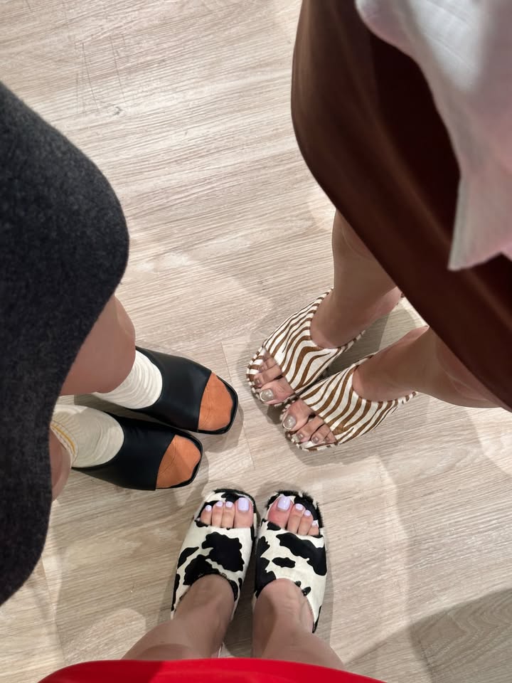 วุ้นเส้น - วิริฒิพา ภักดีประสงค์