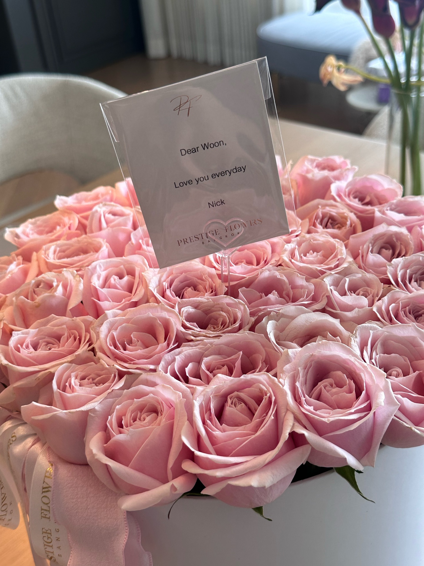 วุ้นเส้น - วิริฒิพา ภักดีประสงค์