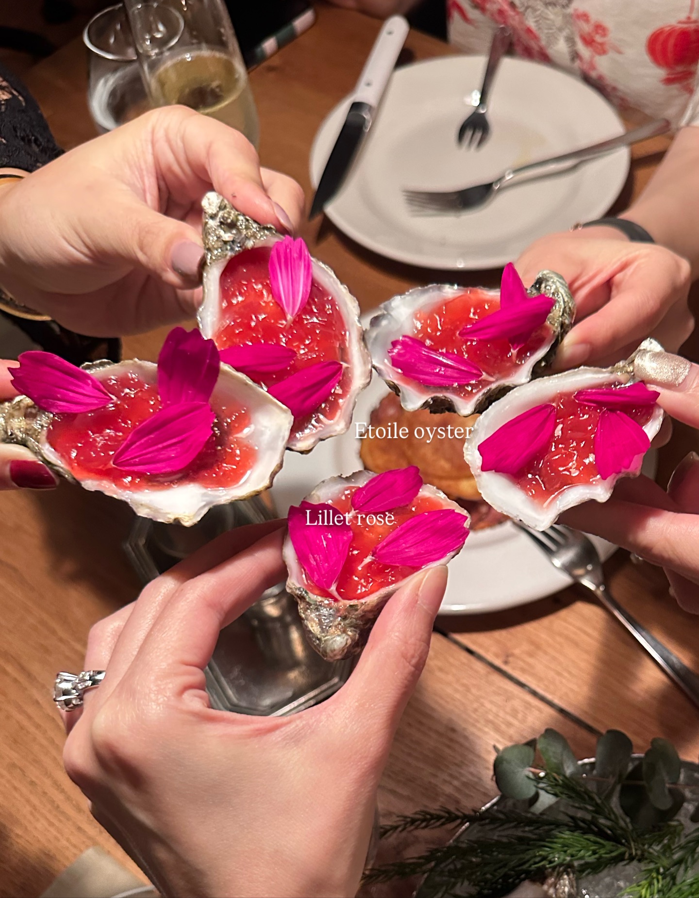 วุ้นเส้น - วิริฒิพา ภักดีประสงค์