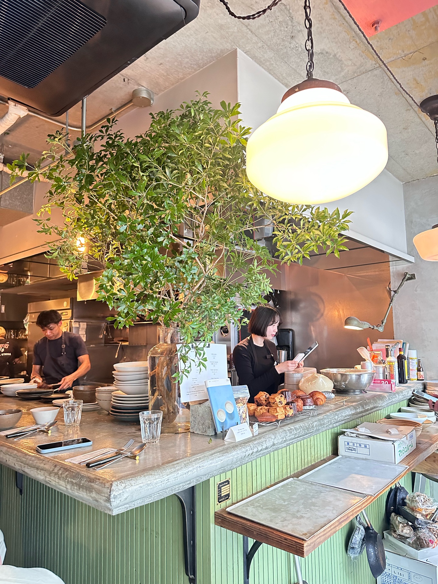 วุ้นเส้น - วิริฒิพา ภักดีประสงค์