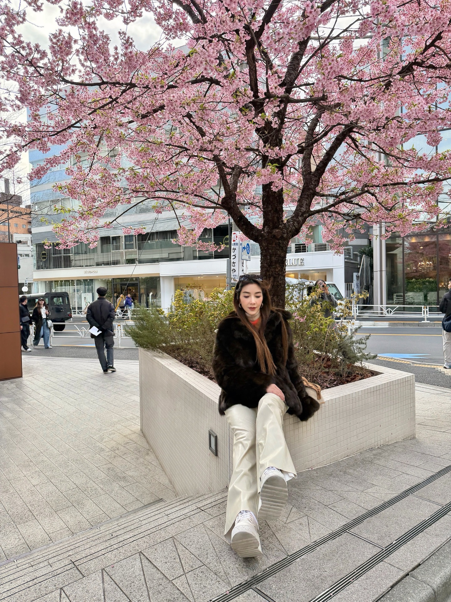 วุ้นเส้น - วิริฒิพา ภักดีประสงค์