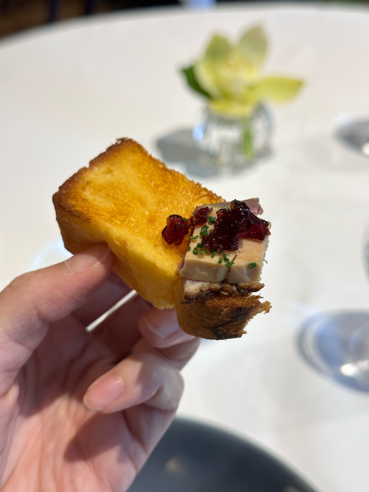 วุ้นเส้น - วิริฒิพา ภักดีประสงค์