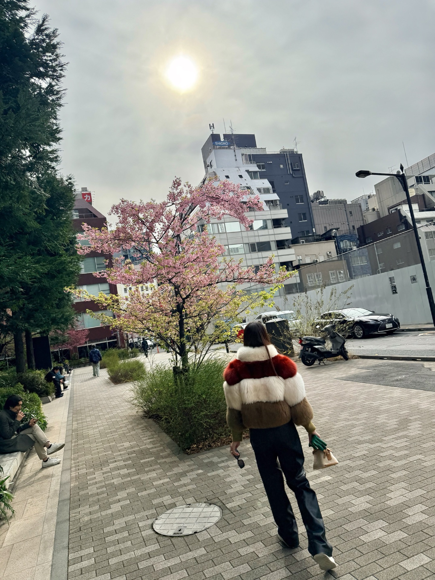 วุ้นเส้น - วิริฒิพา ภักดีประสงค์