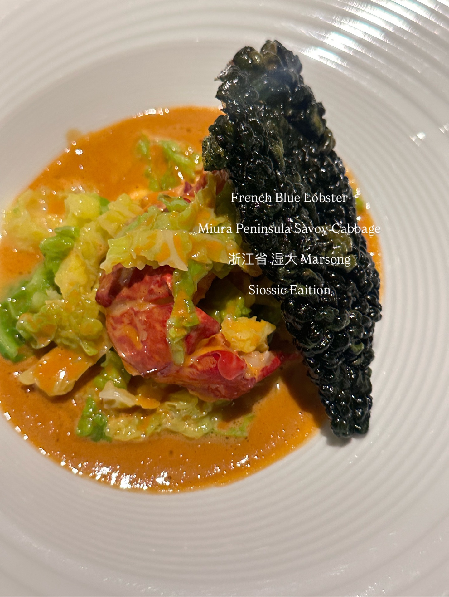 วุ้นเส้น - วิริฒิพา ภักดีประสงค์