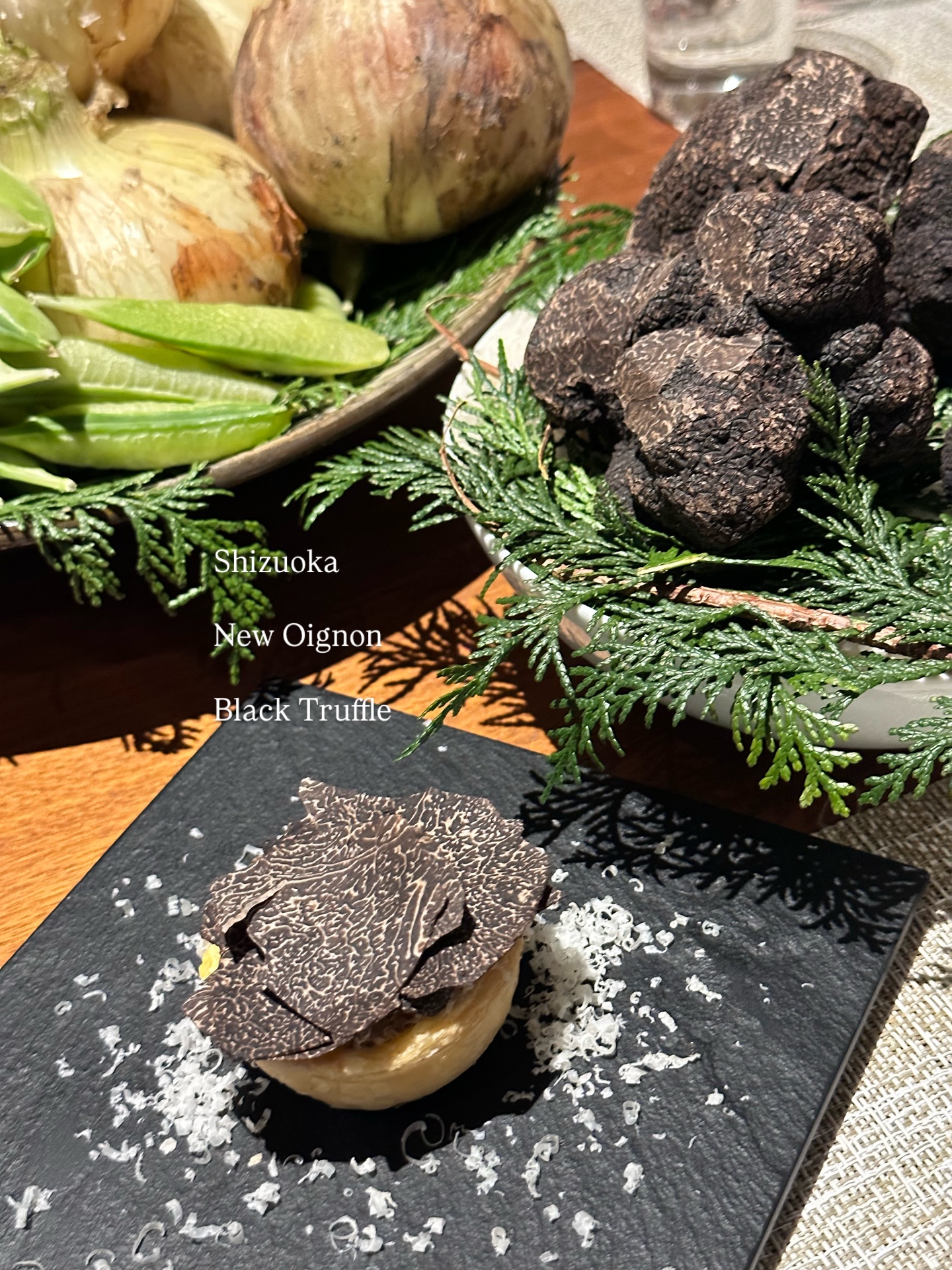 วุ้นเส้น - วิริฒิพา ภักดีประสงค์