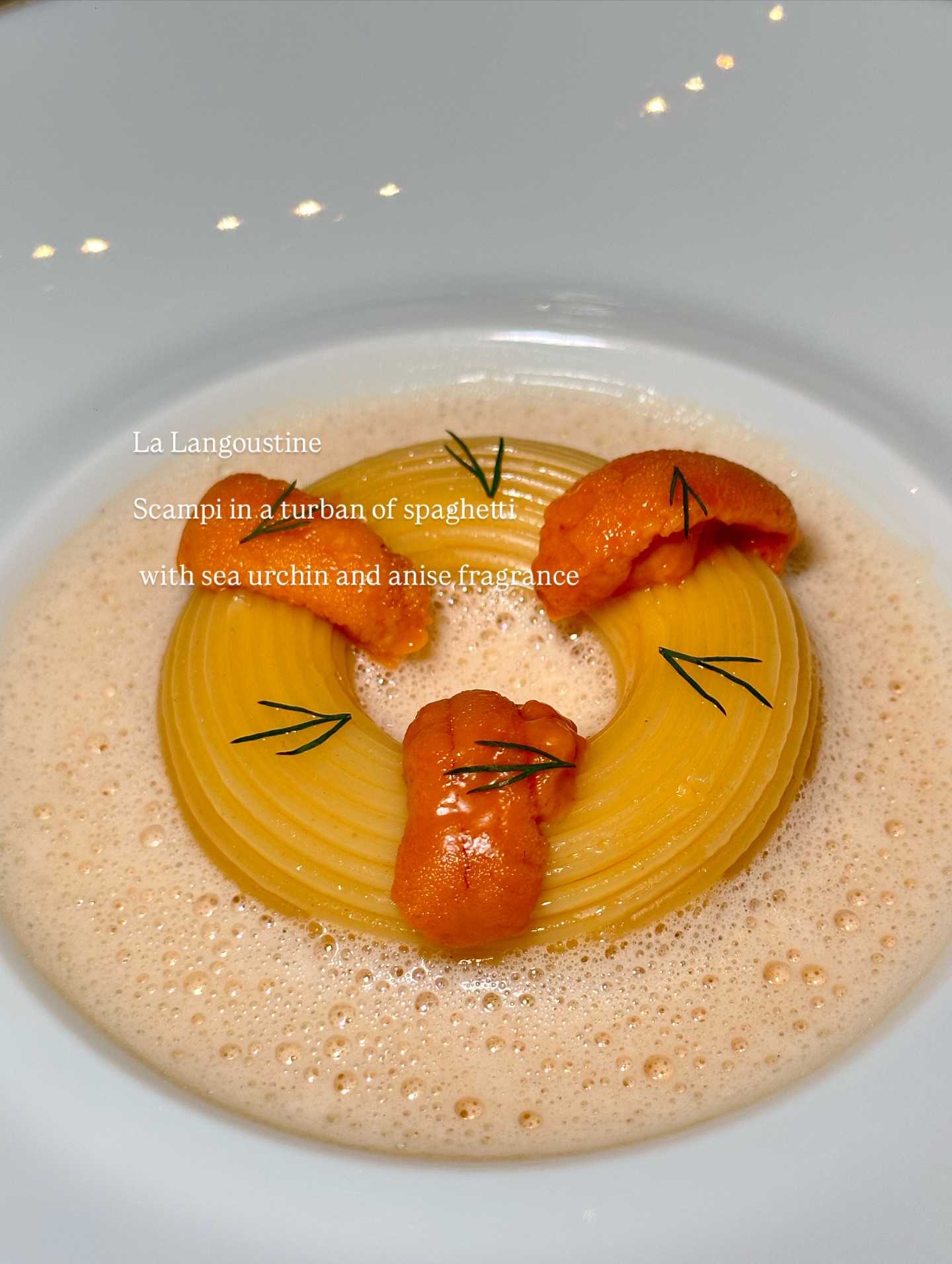 วุ้นเส้น - วิริฒิพา ภักดีประสงค์