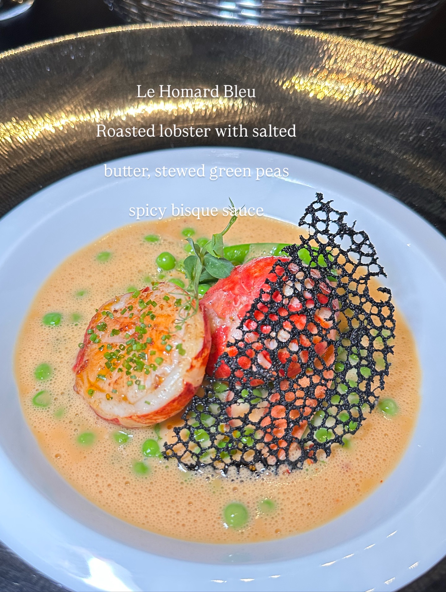 วุ้นเส้น - วิริฒิพา ภักดีประสงค์