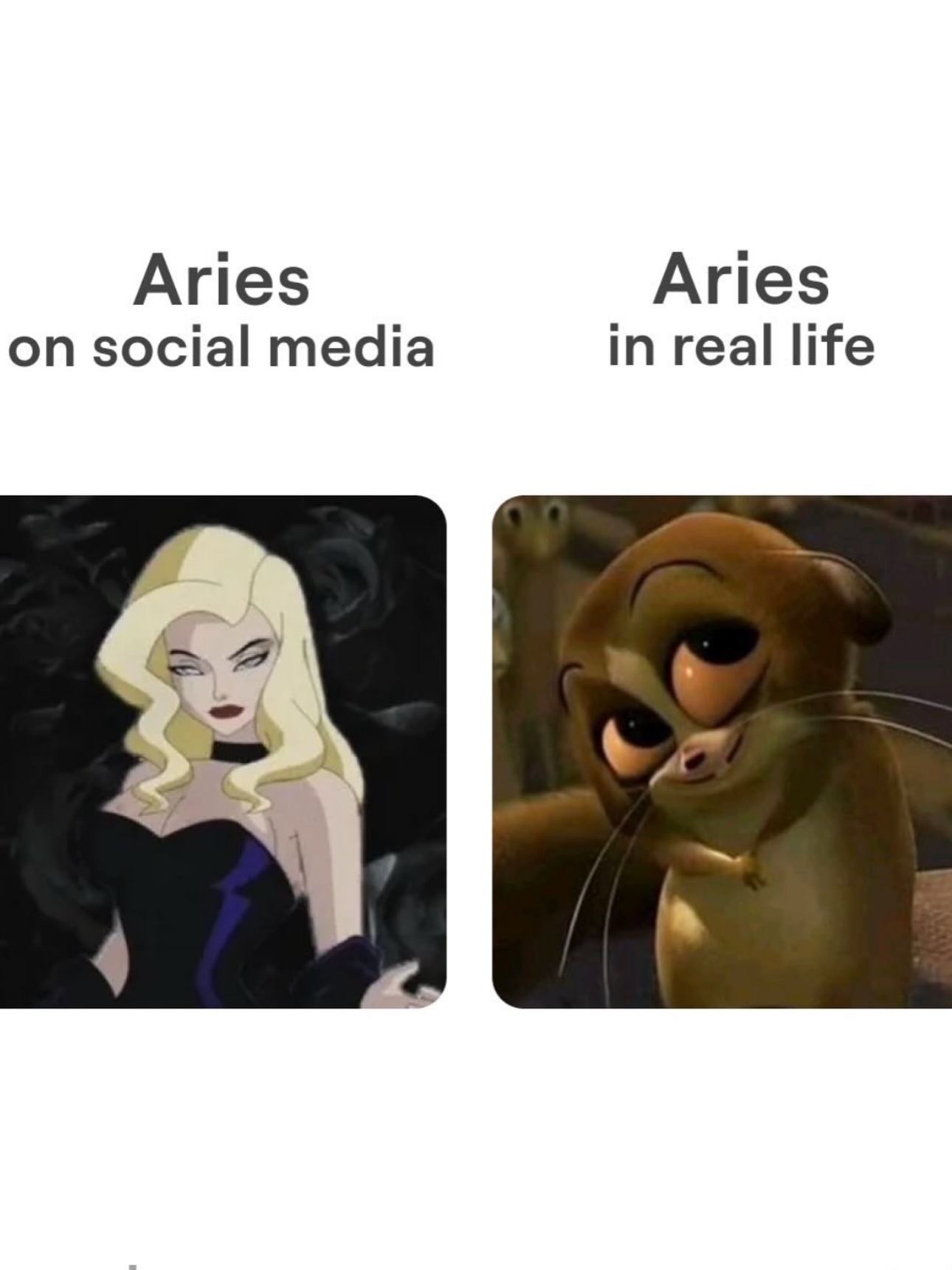 วุ้นเส้น - วิริฒิพา ภักดีประสงค์